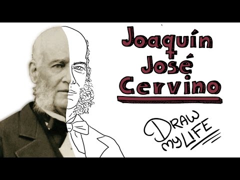 Joaquín José Cervino